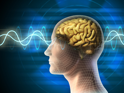 human brain waves